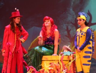 SHINE musical theatre more than a musical